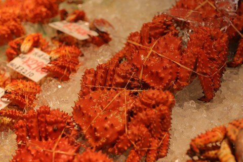 Cua Hoàng Đế (King Crab)